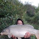 ���� ������, ����, 49 ��� - ��������� 3 ��� 2023 � ������ ���� ����������