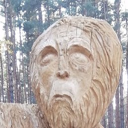 ���������, ������, 62 ����