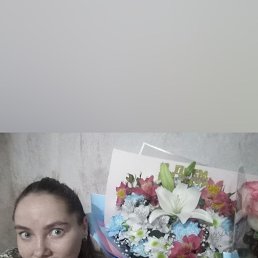 ���� ������, �����������, 33 ���� - ��������� 19 ���� 2023