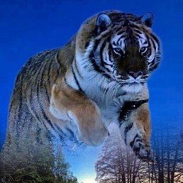 ���� �����, ��������, 48 ��� - ��������� 16 ���� 2023