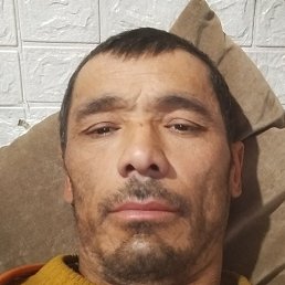 �����, ������, 41 ���