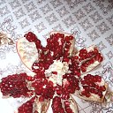 ���� ���, ������, 46 ��� - ��������� 31 ��� 2023 � ������ ���� ����������