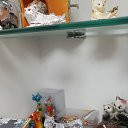 ���� Mark, ����-����, 56 ��� - ��������� 13 ���� 2023 � ������ �cat�