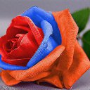 ���� �...!!!, ������ ��������, 86 ��� - ��������� 17 ����� 2023 � ������ ���� ����������