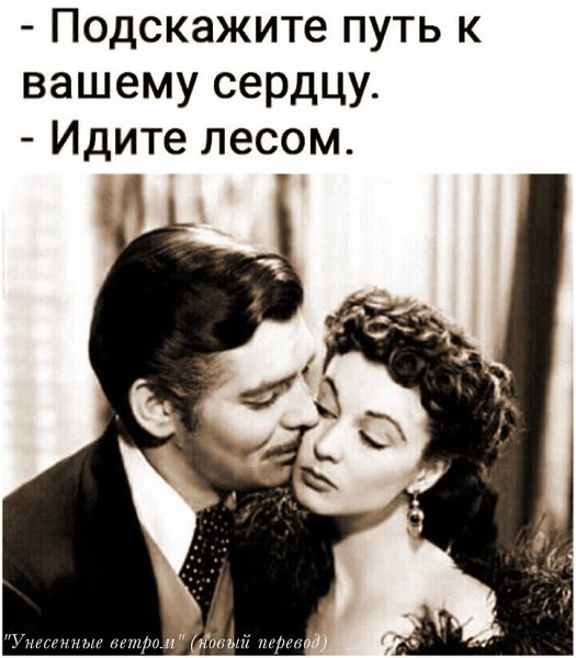 ������ �������� - 19 ������� 2023 � 15:57
