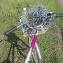 ��� ��������� � ���������� ���� 2023 ��� �� ������� ���� ����������