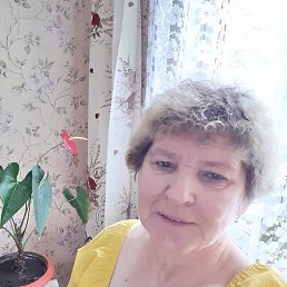 ���������, ������, 65 ���