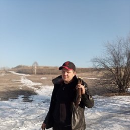 ����, ��������, 40 ���