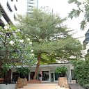 ���� ��������, �����, 59 ��� - ��������� 26 ������� 2023 � ������ ���� ����������