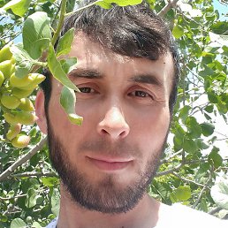 �������, ������, 31 ���