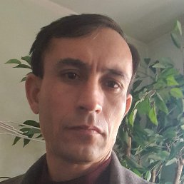 ������, ������, 51 ���