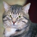 ���� ��������� C������!, ������-��-���� - ��������� 2 ���� 2023