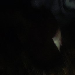 �����, ������, 59 ���