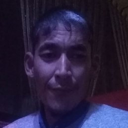 �������. �������, ������, 37 ���