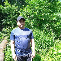 �������, �������, 43 ����