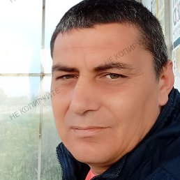 �����, �����, 38 ���