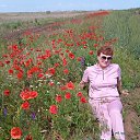 ���� �����, ���� - ��������� 3 ������� 2023 � ������ ���� ����������