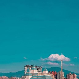 �����, �����-���������, 37 ���