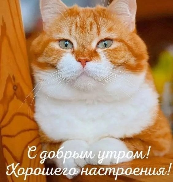 " ") - 1  2023  08:13