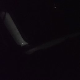 �����, ��������, 41 ���