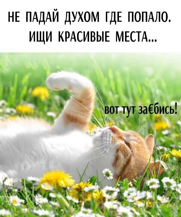 ***Victoria Viktorovna*** - 7  2023  06:08