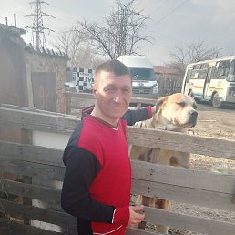 ������, ������, 43 ����