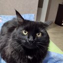 ���� �����, ������-���, 69 ��� - ��������� 9 ������ 2023