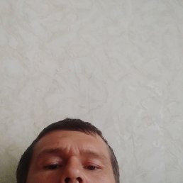 ������, ��������, 43 ����