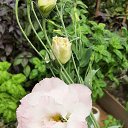 ���� �����, �������, 56 ��� - ��������� 1 �������� 2023 � ������ ���� ����������