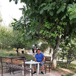 �����, ���������, 38 ���