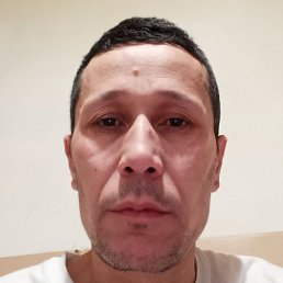 �����, ������, 48 ���