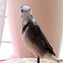 ���� ���������, ������ - ��������� 2 ������ 2023 � ������ ���� ����������