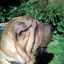  _A_n_g_e_l__,  -  15  2023    