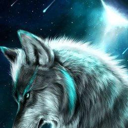 ����, �������, 46 ���