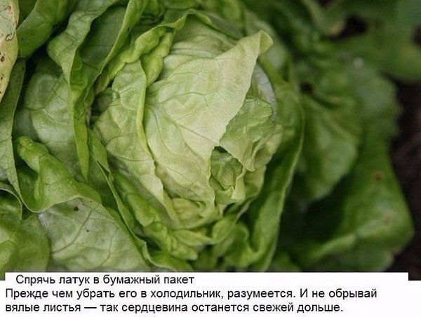 10 хитрых кухонных лайфхаков, о которых не знает даже твоя мама. - 2
