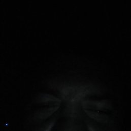 ˸��, ���������, 41 ���