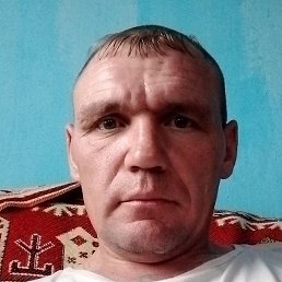 �����, ������, 41 ���