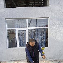 �����, �����, 62 ����