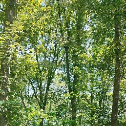 ���� ��������, ������, 49 ��� - ��������� 4 ������� 2023