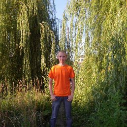 �������, ������, 36 ���