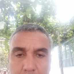 ���� �����, �����, 44 ���� - ��������� 19 ������� 2023