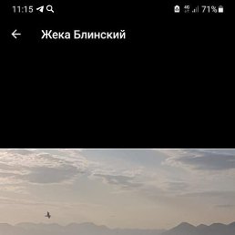 �������, ������, 41 ���