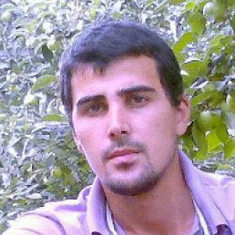 ������, ������, 36 ���