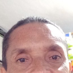 Hernn, ����, 51 ���