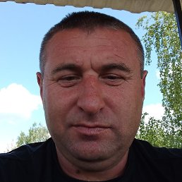 �����, ��������, 46 ���