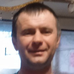 ������, �����, 37 ���