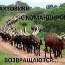 ���� ��������, ������-��-����, 65 ��� - ��������� 9 ���� 2023 � ������ ������ ��������