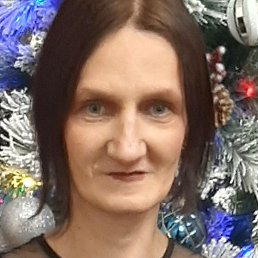 �������, ���������, 40 ���