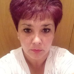 �����, ����������, 48 ���