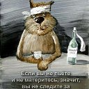 ���� ����� �����, ����, 62 ���� - ��������� 13 ���� 2023